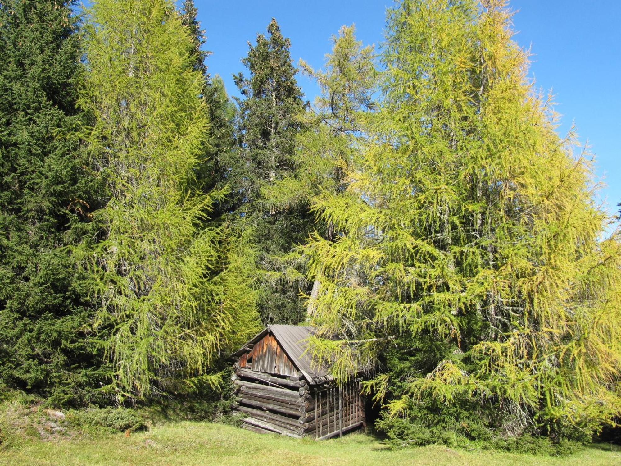 Pepis Ferienwohnungen Inklusive Sommercard Jerzens Bagian luar foto